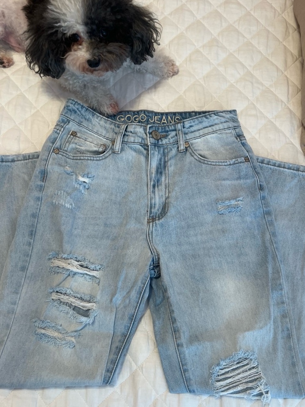 GOGO Light Blue Distressed Women’s Jeans